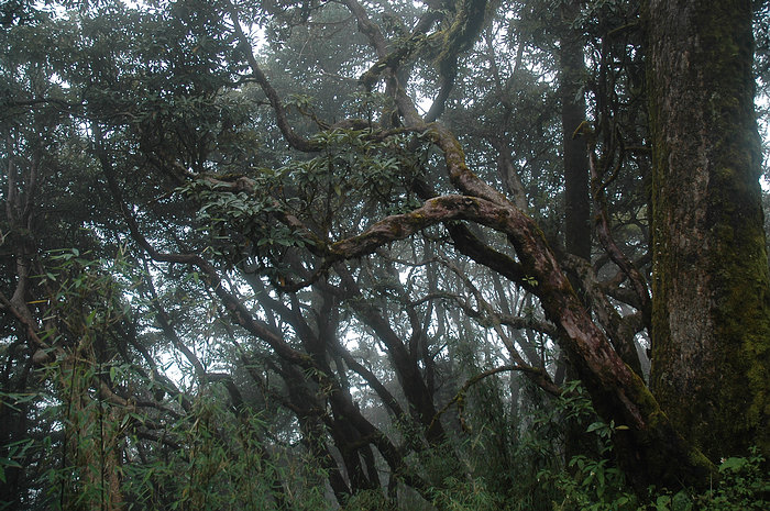 DSC_1485.JPG