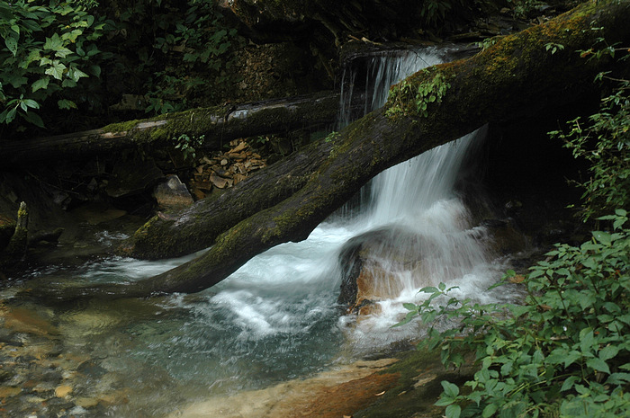 DSC_1511.JPG
