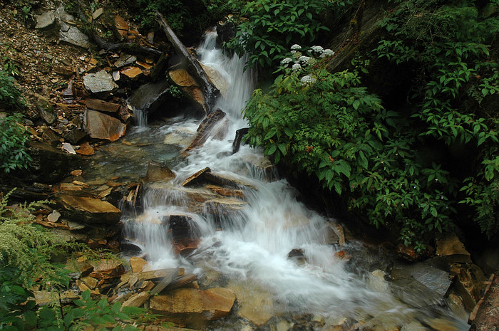 DSC_1513.JPG