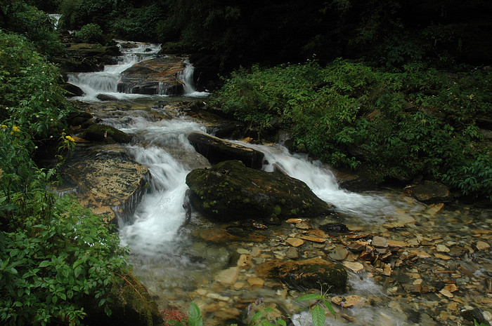 DSC_1529.JPG
