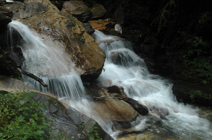 DSC_1532.JPG