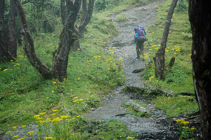 DSC_1492.JPG