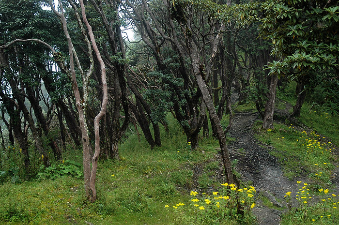 DSC_1493.JPG