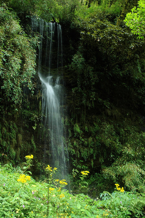 DSC_1574.JPG