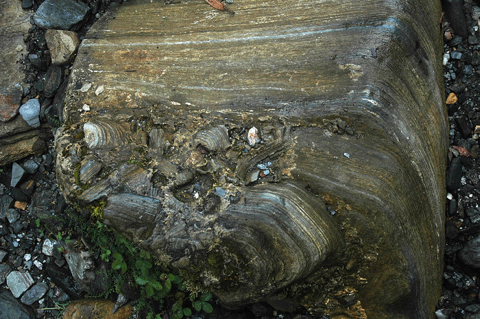 DSC_1576.JPG