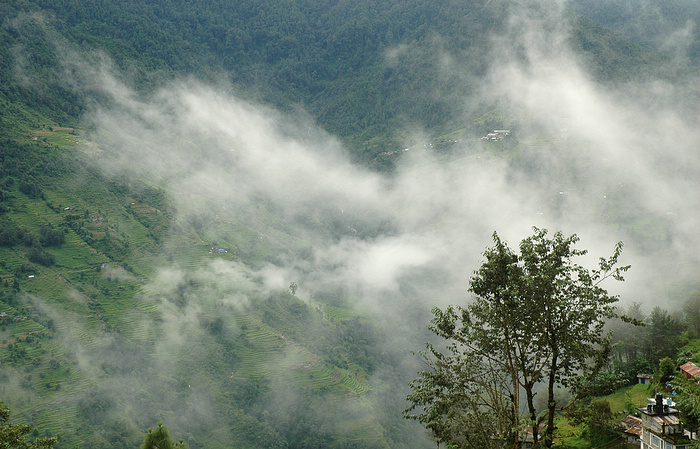 DSC_1615.JPG