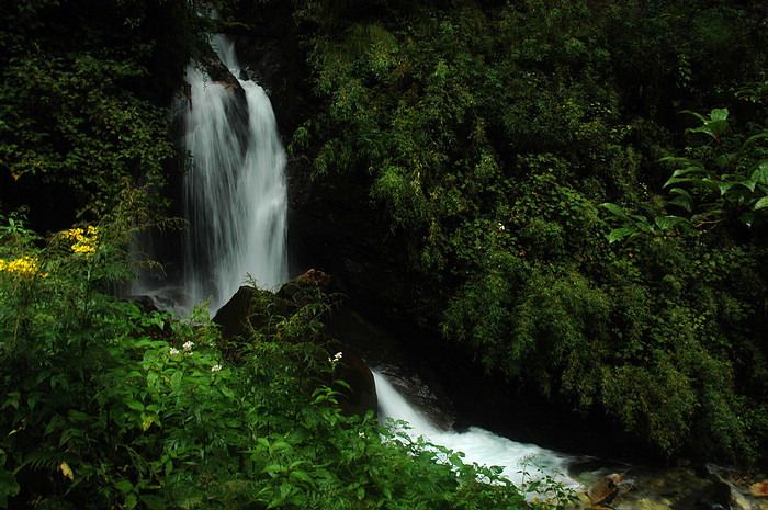 DSC_1543.JPG