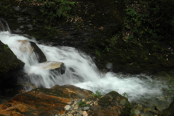 DSC_1548.JPG
