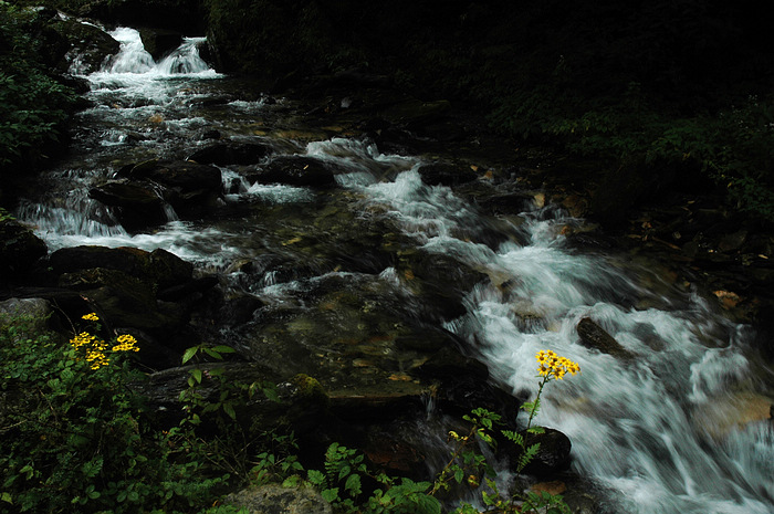 DSC_1559.JPG