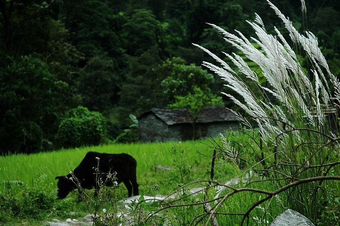 DSC_1930.JPG