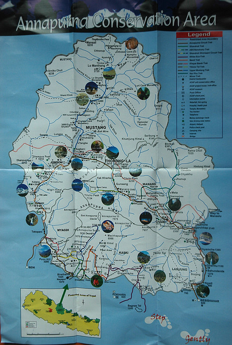 DSC_2246.JPG