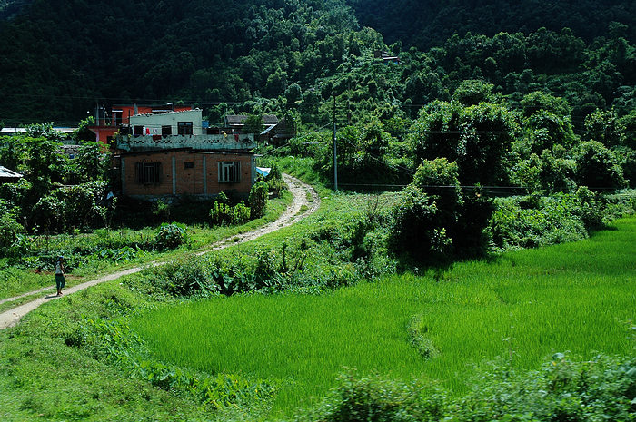 DSC_0197.JPG