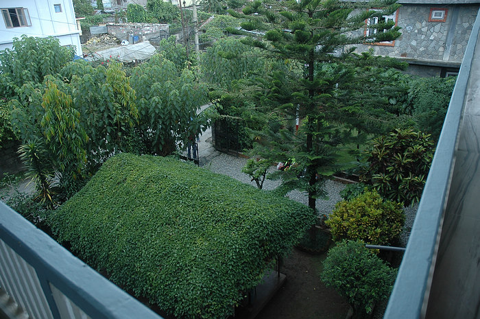 DSC_0223.JPG