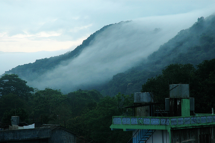 DSC_2228.JPG