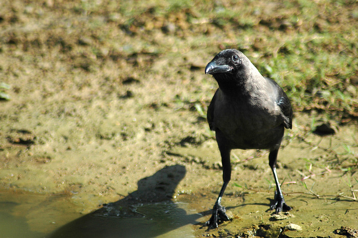 DSC_2318.JPG