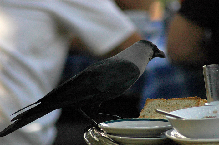 DSC_2357.JPG