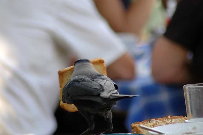 DSC_2358.JPG