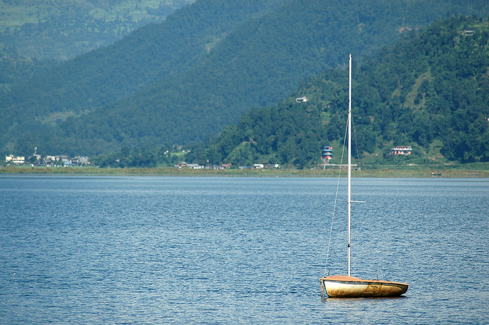 DSC_2336.JPG