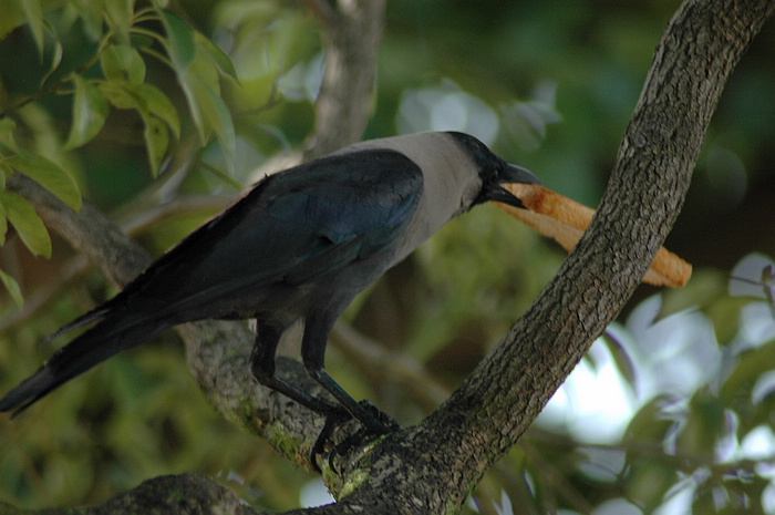 DSC_2362.JPG