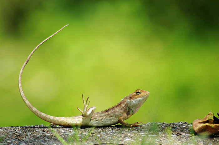 DSC_2483.JPG
