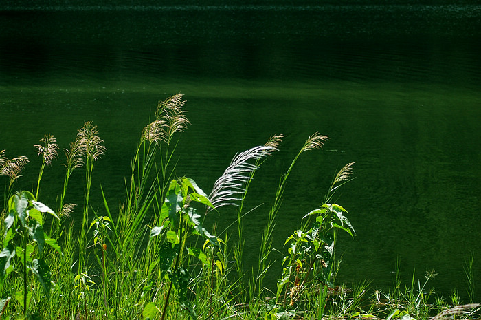 DSC_2507.JPG