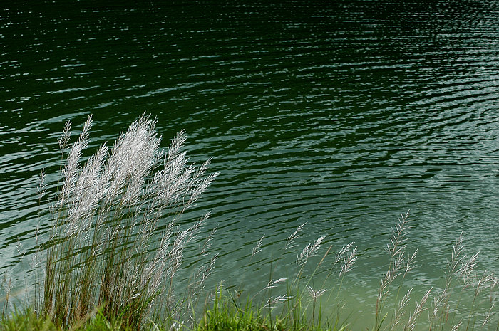 DSC_2519.JPG