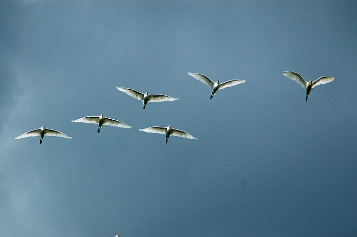 DSC_2586.JPG