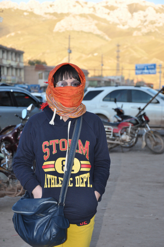 DSC_0919.JPG