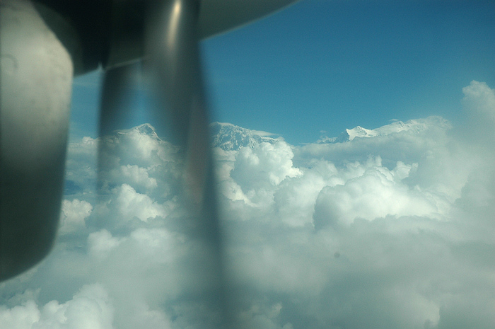 DSC_2930.JPG