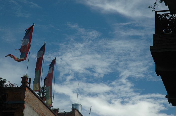DSC_3064.JPG