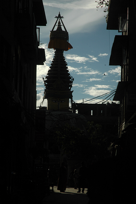 DSC_3071.JPG
