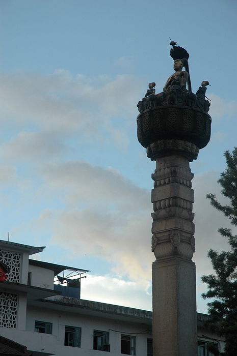 DSC_3163.JPG