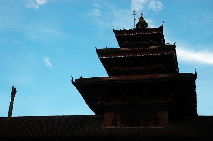 DSC_3165.JPG