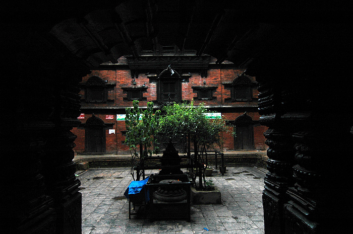 DSC_3317.JPG