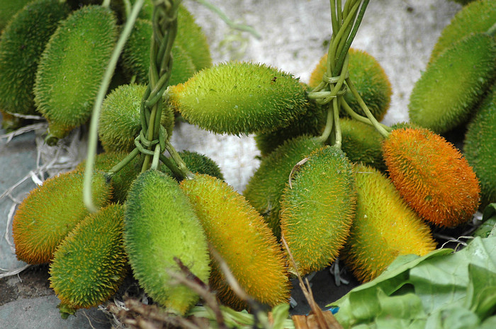 DSC_3406.JPG