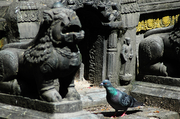 DSC_3479.JPG
