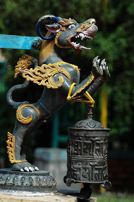 DSC_3464.JPG