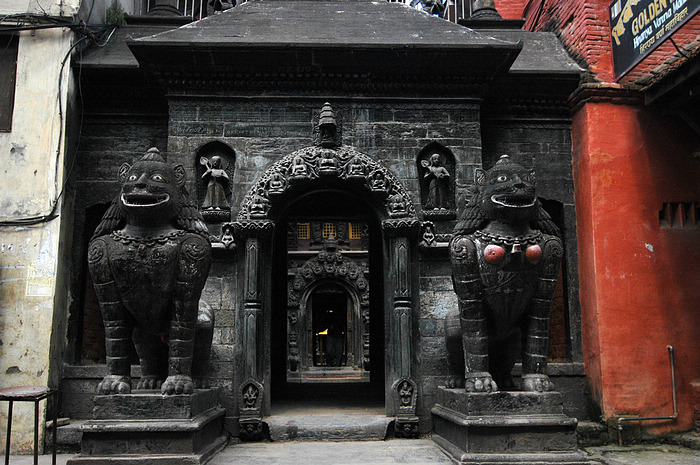 DSC_3486.JPG