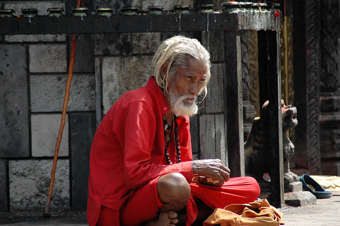 DSC_3516.JPG