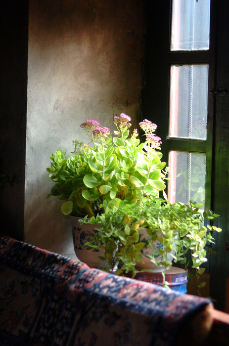 nEO_IMG_DSC_0051.jpg
