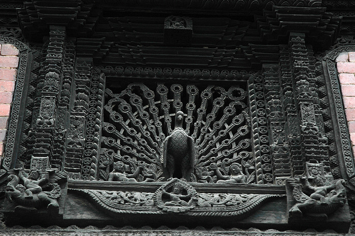 DSC_4003.JPG
