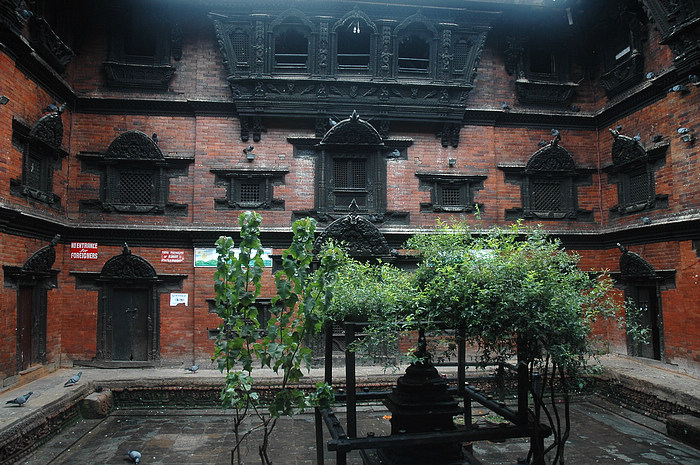 DSC_4017.JPG