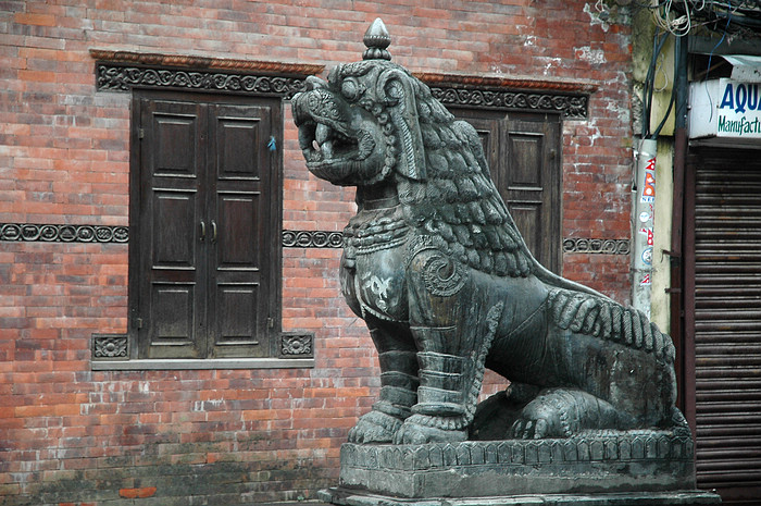 DSC_4081.JPG