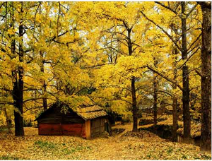 QQ��ͼ20111102150202.png