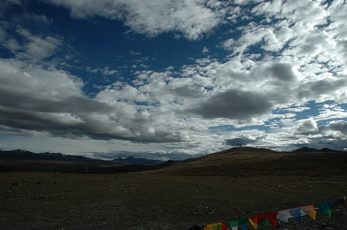 DSC_4202.JPG
