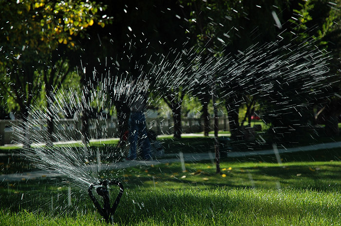 DSC_4485.JPG