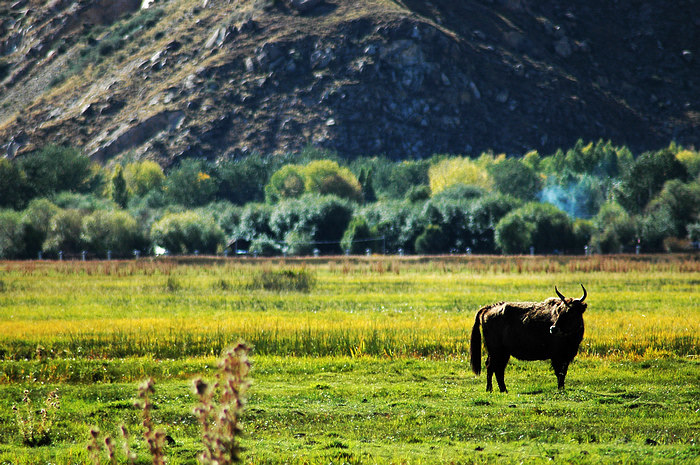 DSC_5088.JPG