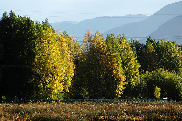 DSC_5278.JPG