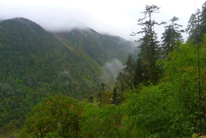P1010694_conew1.jpg