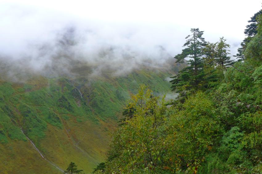 P1010708_conew1.jpg
